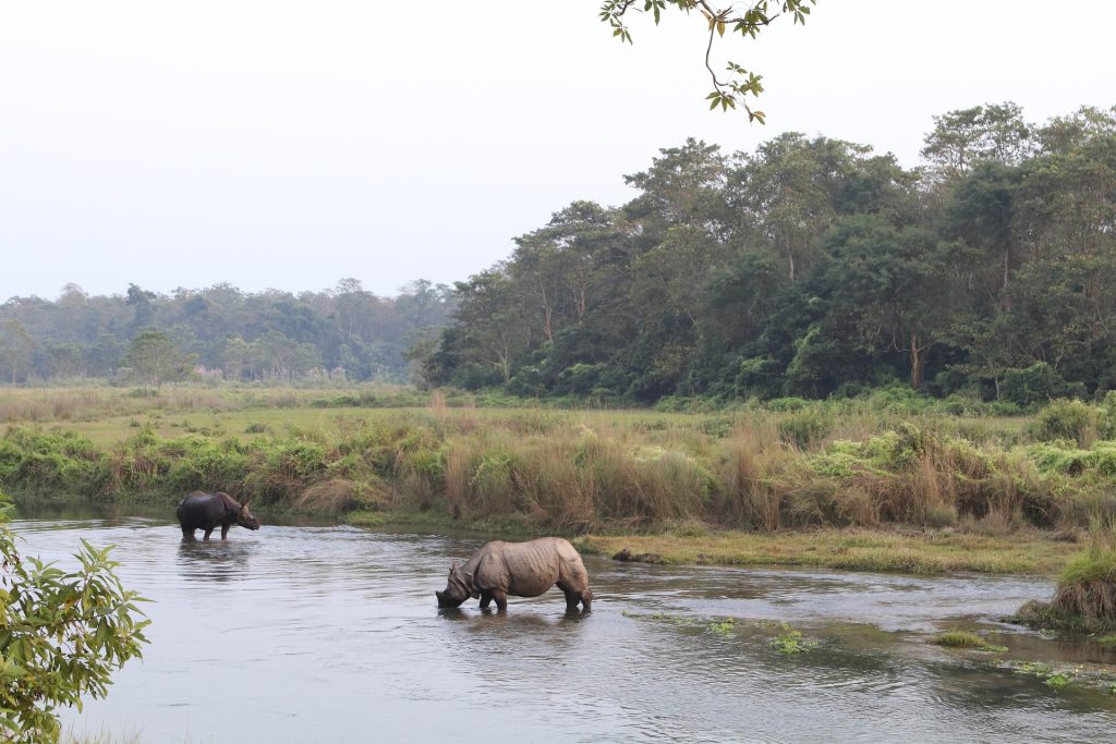 travel nepal | chitwan